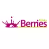 Berries Polska - producent soków ekologicznych logo