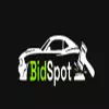 Import, sprowadzenia aut z USA | BidSpot logo